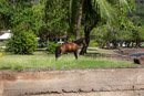 Les Marquises - Nuku Hiva - Copyright : See Otherwise 2012 - 2025