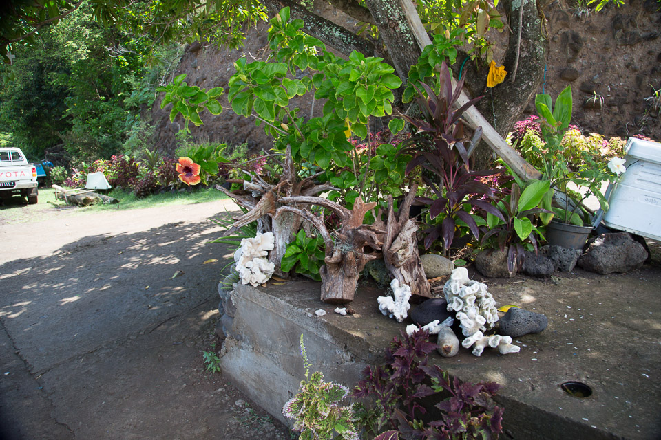 3L9A3547.jpg Les Marquises - Tahuata - Copyright : See Otherwise 2012 - 2025