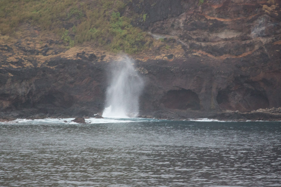 3L9A3624.jpg Les Marquises - Tahuata - Copyright : See Otherwise 2012 - 2025