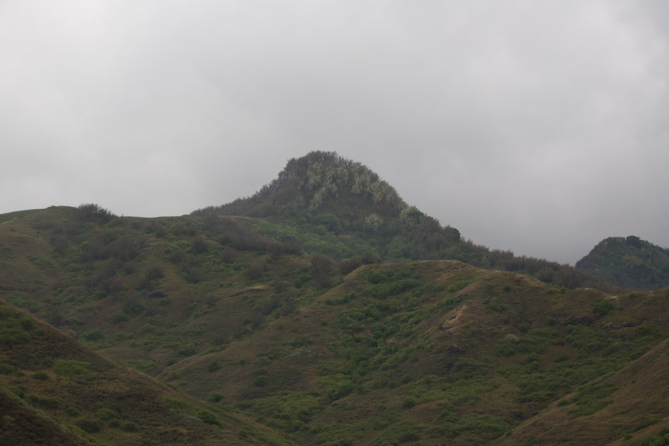 3L9A3643.jpg Les Marquises - Tahuata - Copyright : See Otherwise 2012 - 2025