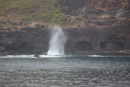 3L9A3624.jpg Les Marquises - Tahuata - Copyright : See Otherwise 2012 - 2023