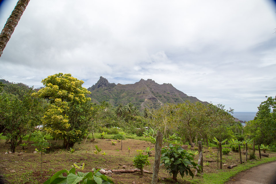 3L9A3257.jpg Les Marquises - Ua Huka - Copyright : See Otherwise 2012 - 2025