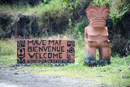 Les fleurs de Polynesie - Copyright : See Otherwise 2012 - 2023