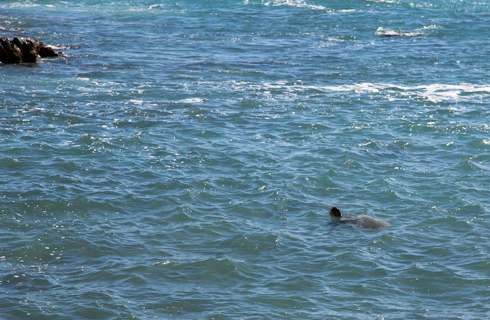 3L9A8609.jpg Mer et surfeurs - Copyright : See Otherwise 2012 - 2026