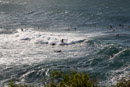 3L9A8710.jpg Mer et surfeurs - Copyright : See Otherwise 2012 - 2024