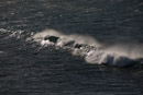 Mer et surfeurs - Copyright : See Otherwise 2012 - 2023