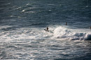 3L9A8744.jpg [Hawaii]Mer et surfeurs - Copyright : See Otherwise 2012 - 2022
