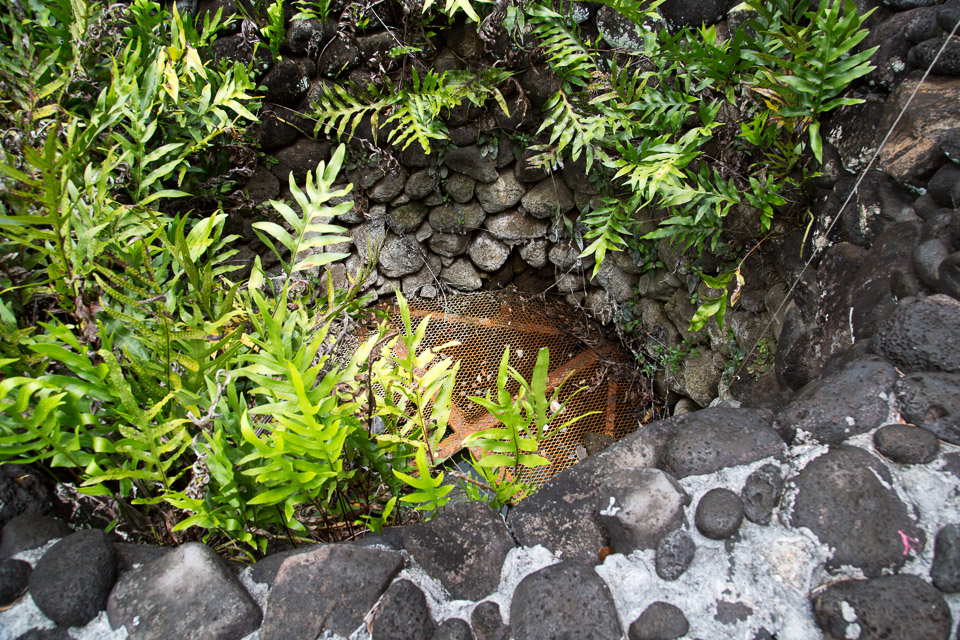 3L9A4510.jpg Musee Gauguin - Hiva Oa - Copyright : See Otherwise 2012 - 2025