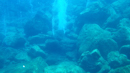 Panarea - solfatare - Copyright : See Otherwise 2012 - 2023