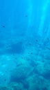 Panarea - solfatare - Copyright : See Otherwise 2012 - 2023