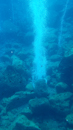 Panarea - solfatare - Copyright : See Otherwise 2012 - 2023