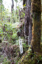 Pu u O o - Copyright : See Otherwise 2012 - 2023
