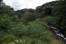 3L9A1147.jpg [Hawaii]Rainbow Falls - Copyright : See Otherwise 2012 - 2022