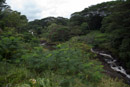 3L9A1147.jpg Rainbow Falls - Copyright : See Otherwise 2012 - 2023