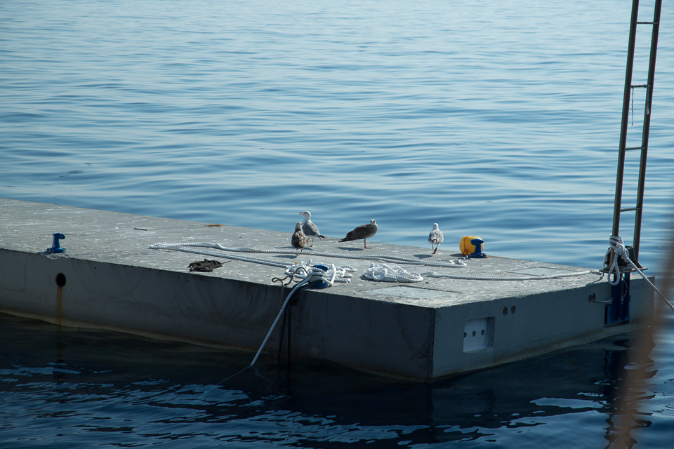 3L9A0155.jpg Sicile - Milazzo - Copyright : See Otherwise 2012 - 2025