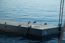 Sicile - Milazzo - Copyright : See Otherwise 2012 - 2023