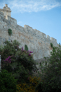 3L9A9996.jpg Sicile - Milazzo - Copyright : See Otherwise 2012 - 2023