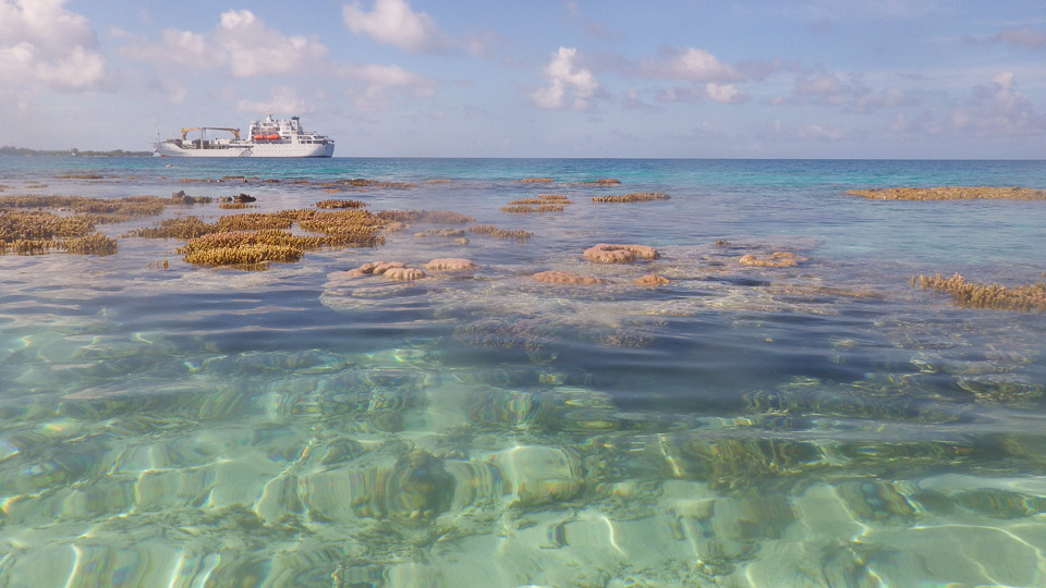 IMGP0165.jpg Sous l eau - Fakarava - Copyright : See Otherwise 2012 - 2025