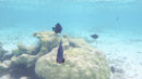Sous l eau - Huahine - Copyright : See Otherwise 2012 - 2026
