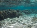 Sous l eau - Huahine - Copyright : See Otherwise 2012 - 2025