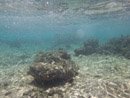 Sous l eau - Huahine - Copyright : See Otherwise 2012 - 2025