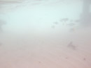 Sous l eau - Manihi - Copyright : See Otherwise 2012 - 2025