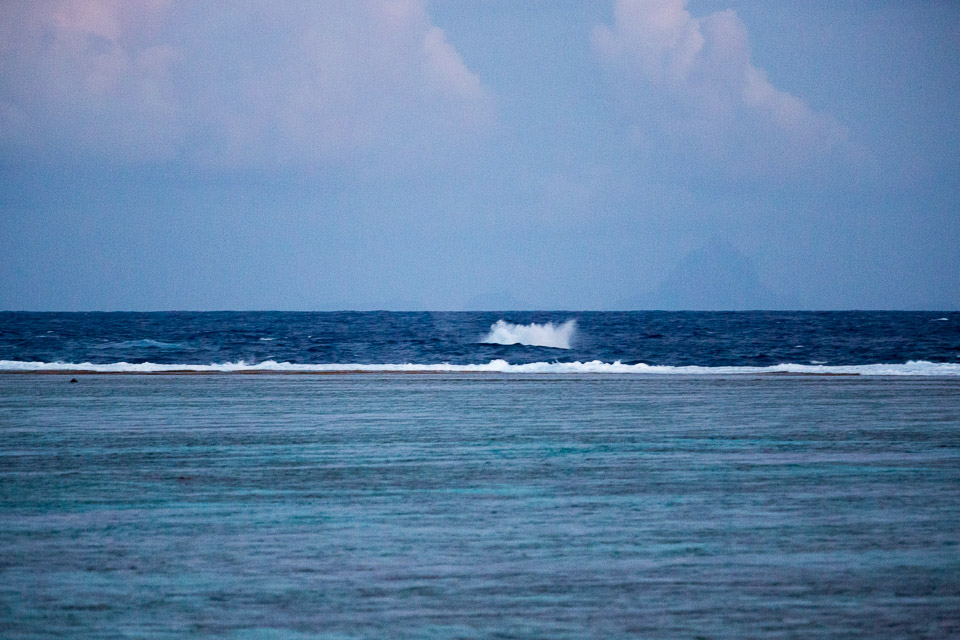3L9A7787.jpg Sous l eau - Maupiti - Copyright : See Otherwise 2012 - 2025