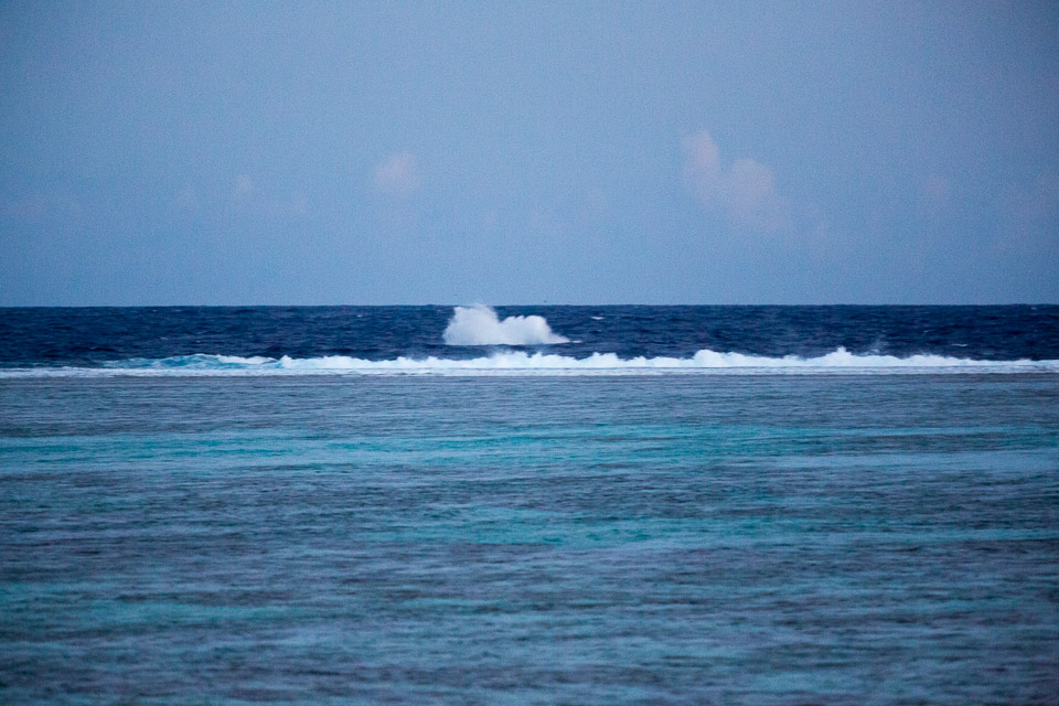3L9A7803.jpg Sous l eau - Maupiti - Copyright : See Otherwise 2012 - 2025