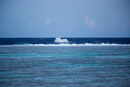 Sous l eau - Maupiti - Copyright : See Otherwise 2012 - 2023