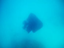 Sous l eau - Maupiti - Copyright : See Otherwise 2012 - 2025