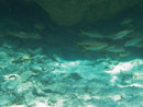 Sous l eau - Maupiti - Copyright : See Otherwise 2012 - 2023