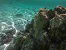 Sous l eau - Maupiti - Copyright : See Otherwise 2012 - 2025