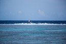 Sous l eau - Maupiti - Copyright : See Otherwise 2012 - 2025