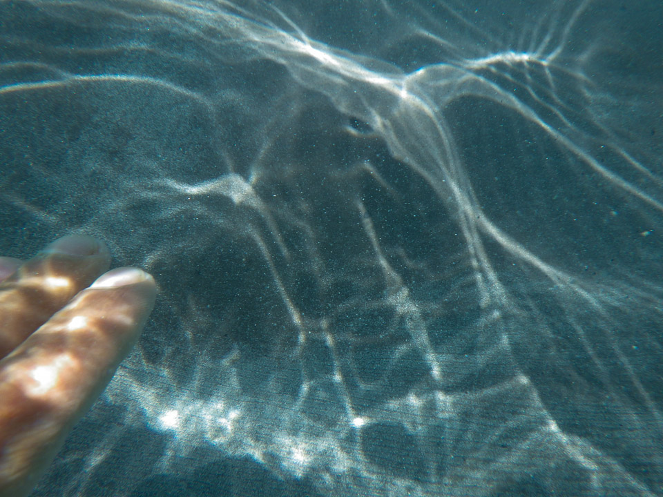 IMGP1416.jpg Sous l eau - Moorea - Copyright : See Otherwise 2012 - 2025