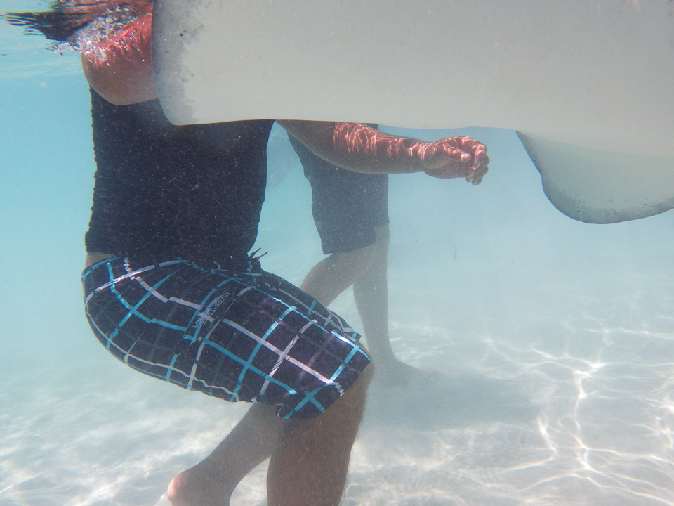 IMGP1386.jpg Sous l eau - Moorea - Copyright : See Otherwise 2012 - 2025