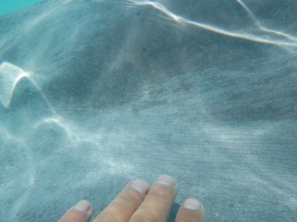 IMGP1405.jpg Sous l eau - Moorea - Copyright : See Otherwise 2012 - 2025