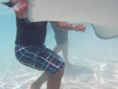Sous l eau - Moorea - Copyright : See Otherwise 2012 - 2023