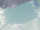 Sous l eau - Moorea - Copyright : See Otherwise 2012 - 2025
