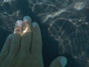 Sous l eau - Moorea - Copyright : See Otherwise 2012 - 2023
