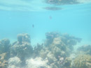 Sous l eau - Moorea - Copyright : See Otherwise 2012 - 2026