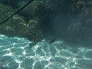 Sous l eau - Moorea - Copyright : See Otherwise 2012 - 2025