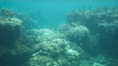 IMGP0047.jpg [Polynesie]Sous l eau - Tahiti - Copyright : See Otherwise 2012 - 2022