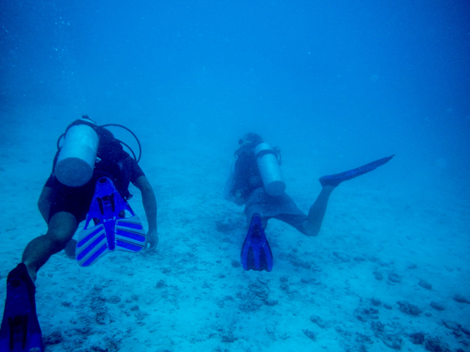 IMGP1644.jpg Sous l eau - Tikehau - Copyright : See Otherwise 2012 - 2025