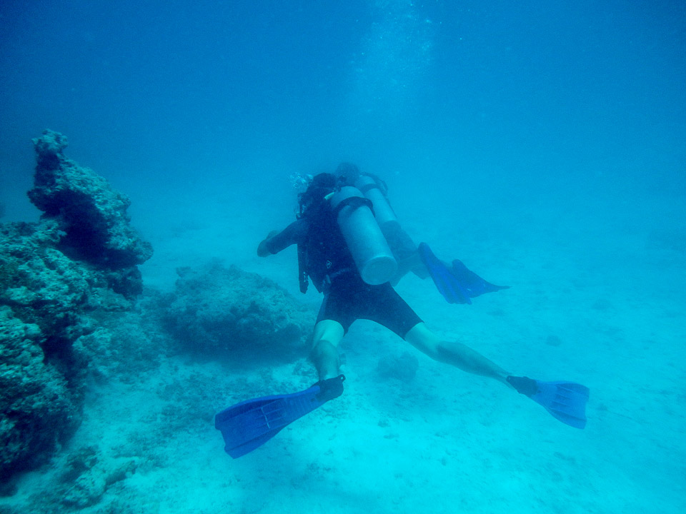 IMGP1773.jpg Sous l eau - Tikehau - Copyright : See Otherwise 2012 - 2025