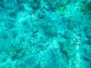 Sous l eau - Tikehau - Copyright : See Otherwise 2012 - 2023