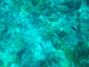 Sous l eau - Tikehau - Copyright : See Otherwise 2012 - 2023