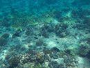 Sous l eau - Tikehau - Copyright : See Otherwise 2012 - 2023