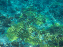Sous l eau - Tikehau - Copyright : See Otherwise 2012 - 2023