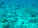 Sous l eau - Tikehau - Copyright : See Otherwise 2012 - 2025