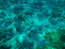Sous l eau - Tikehau - Copyright : See Otherwise 2012 - 2023